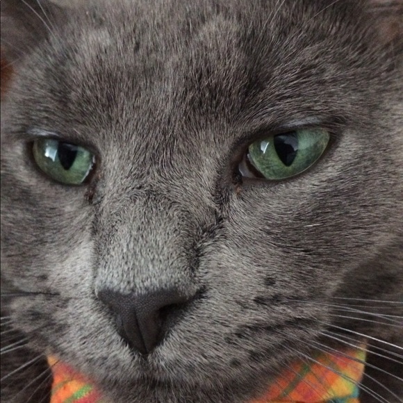 Meet your Posher, Andrea - Picture 1 of 1